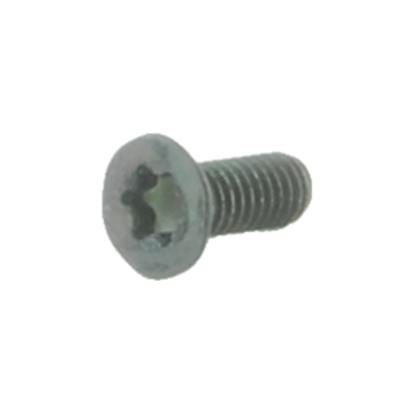M4x10 Tx20 Accessory Screws