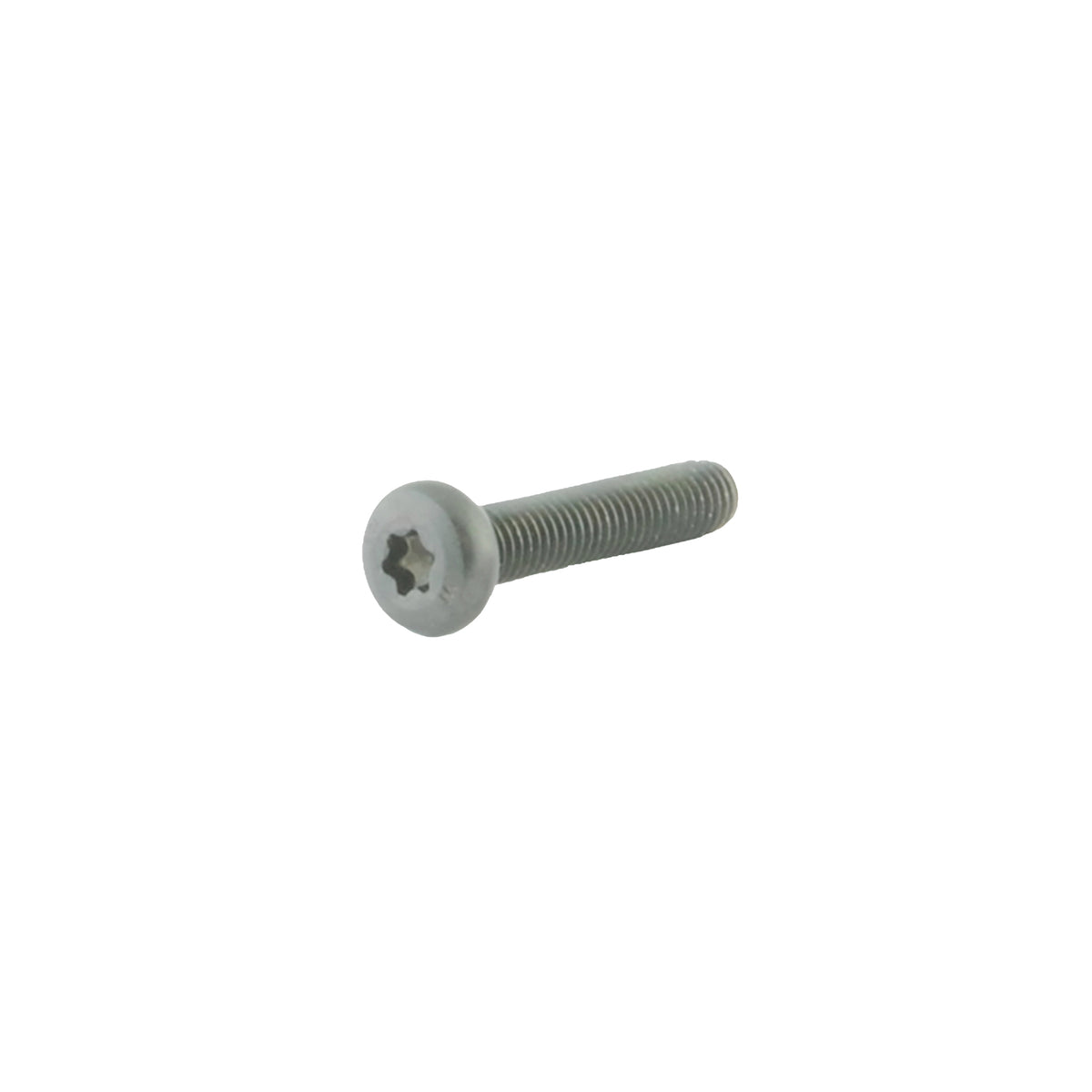M5x25 Tx20 Clamping Screws