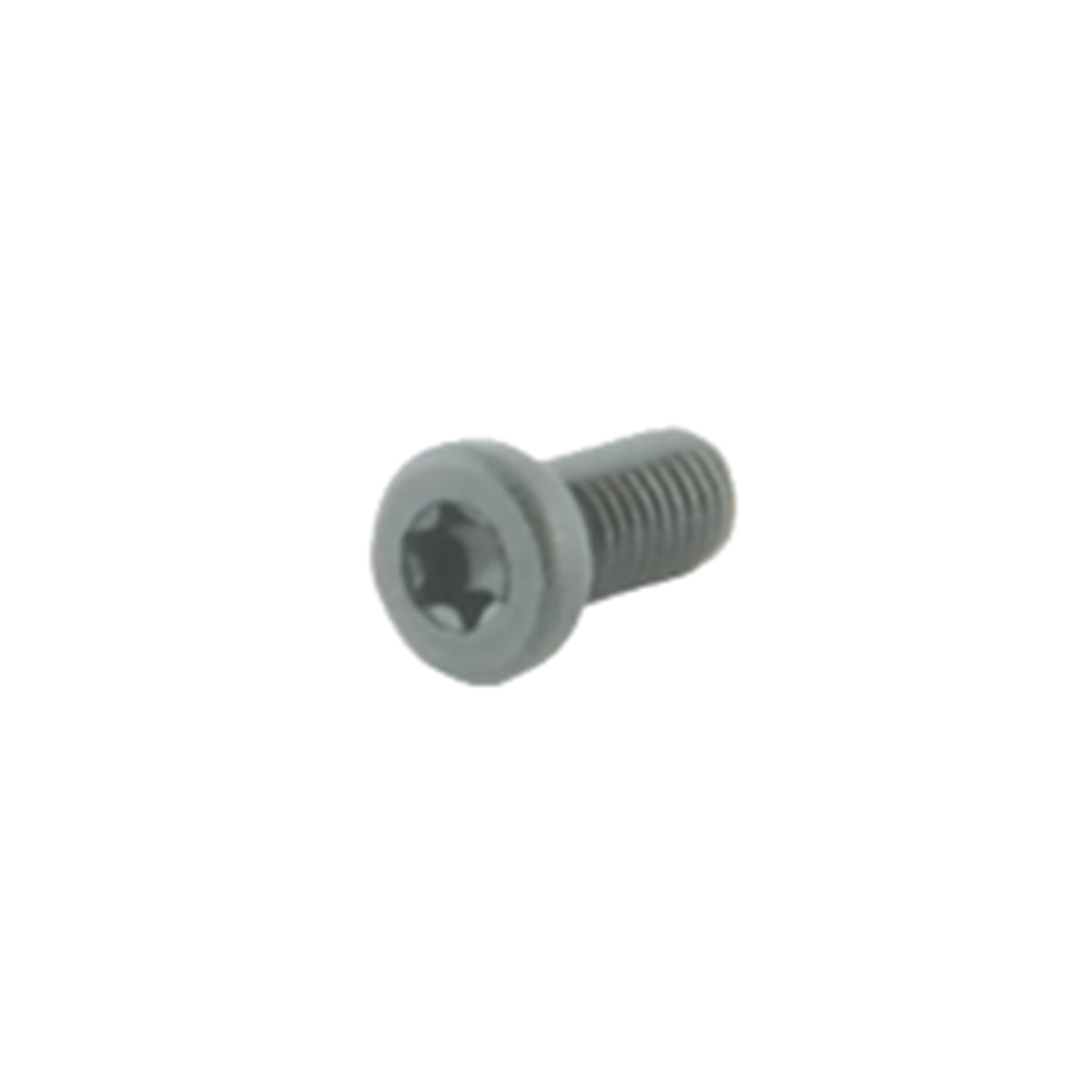 Sauer Recoil Screw