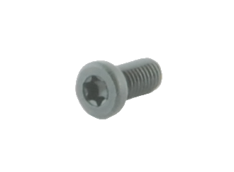 Sauer Recoil Screw