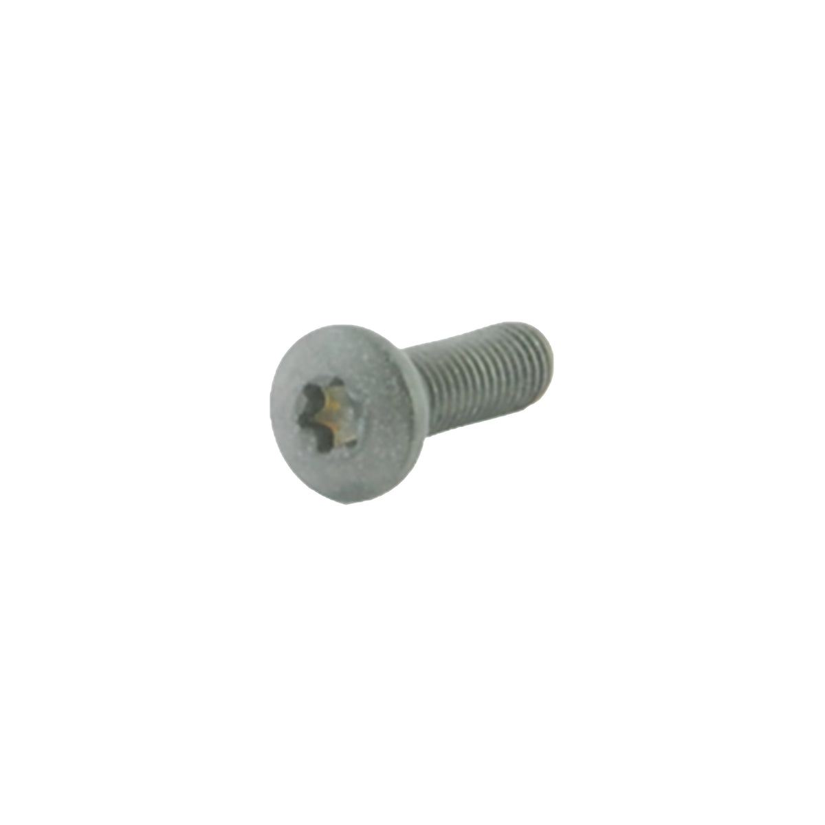 M5x16 Tx20 Clamping Screws