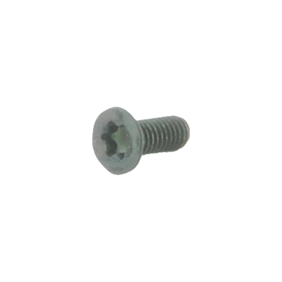 M4x10 Tx20 Accessory Screws