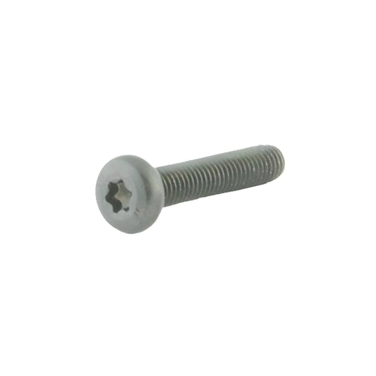 M5x25 Tx20 Clamping Screws