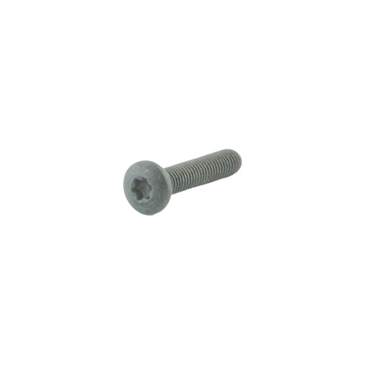 M5x25 Tx20 Clamping Screws