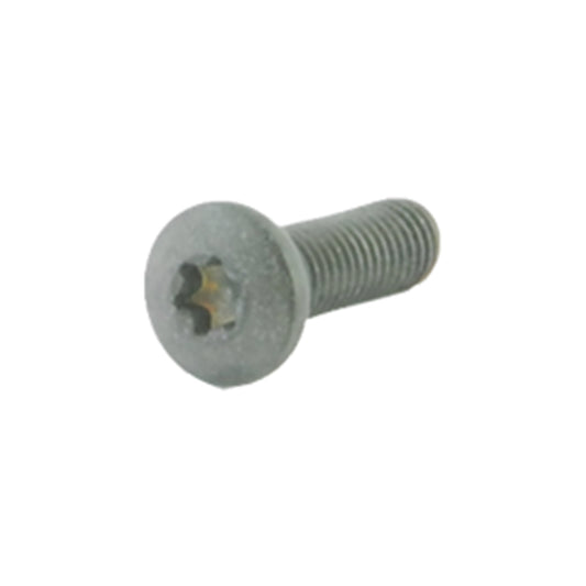 M5x16 Tx20 Clamping Screws
